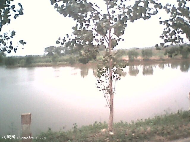 IMG0381A.jpg