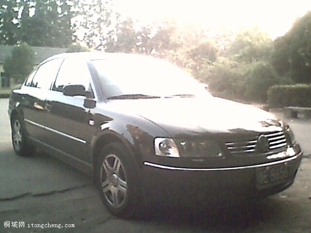 IMG0408A.jpg