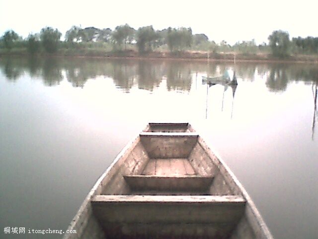 IMG0385A.jpg