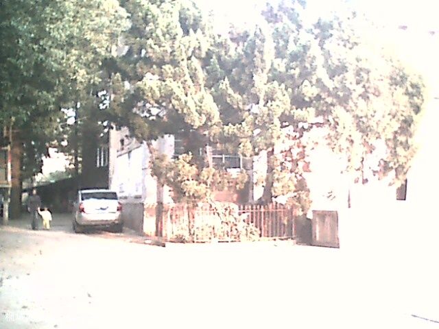 IMG0411A.jpg