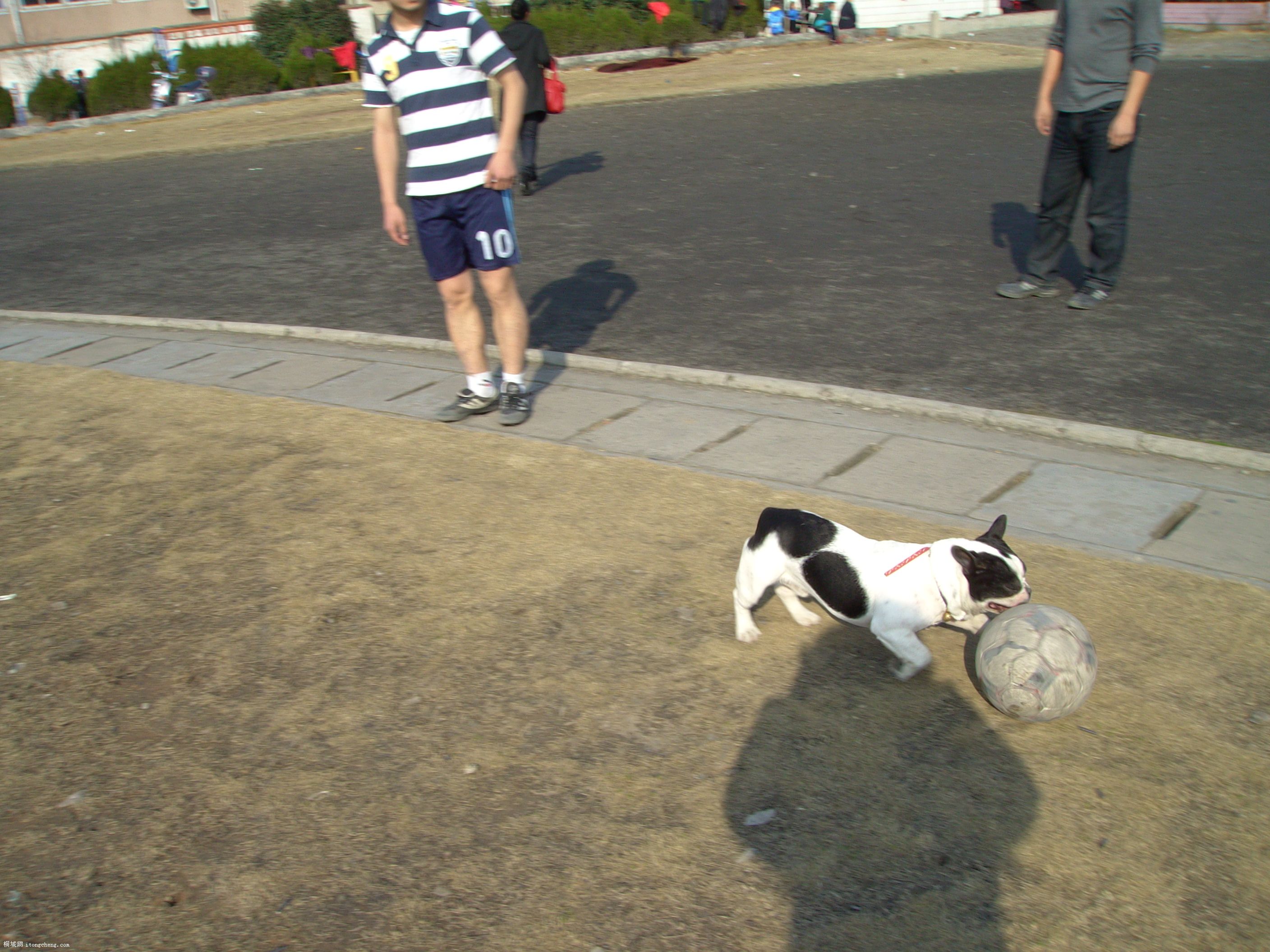 PICT0269.JPG