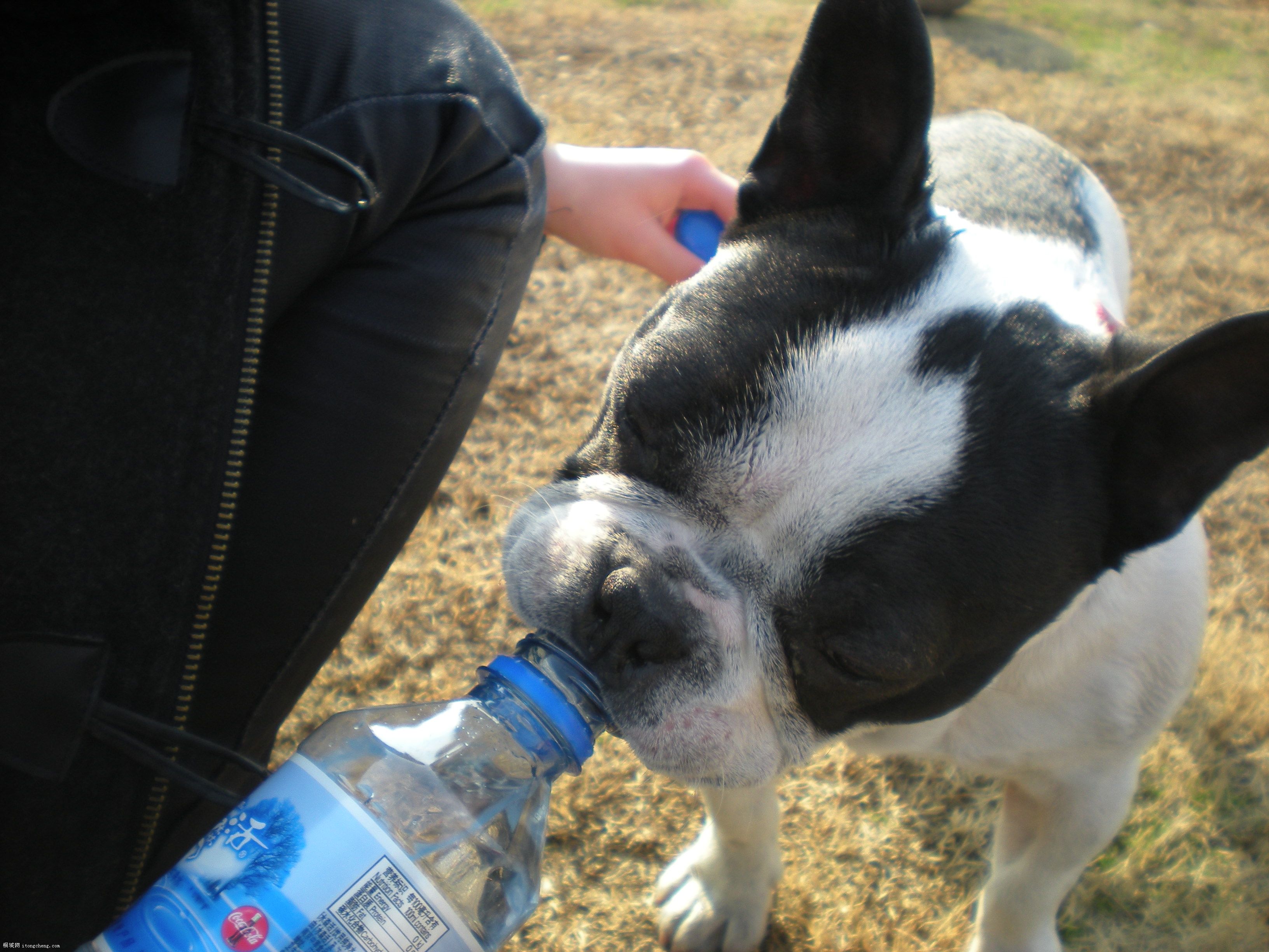 DSCN9287.JPG
