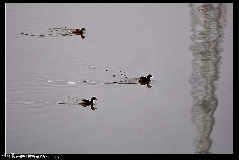 DSC_0891.jpg