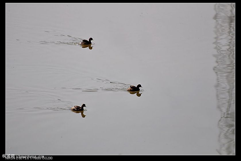 DSC_0890.jpg