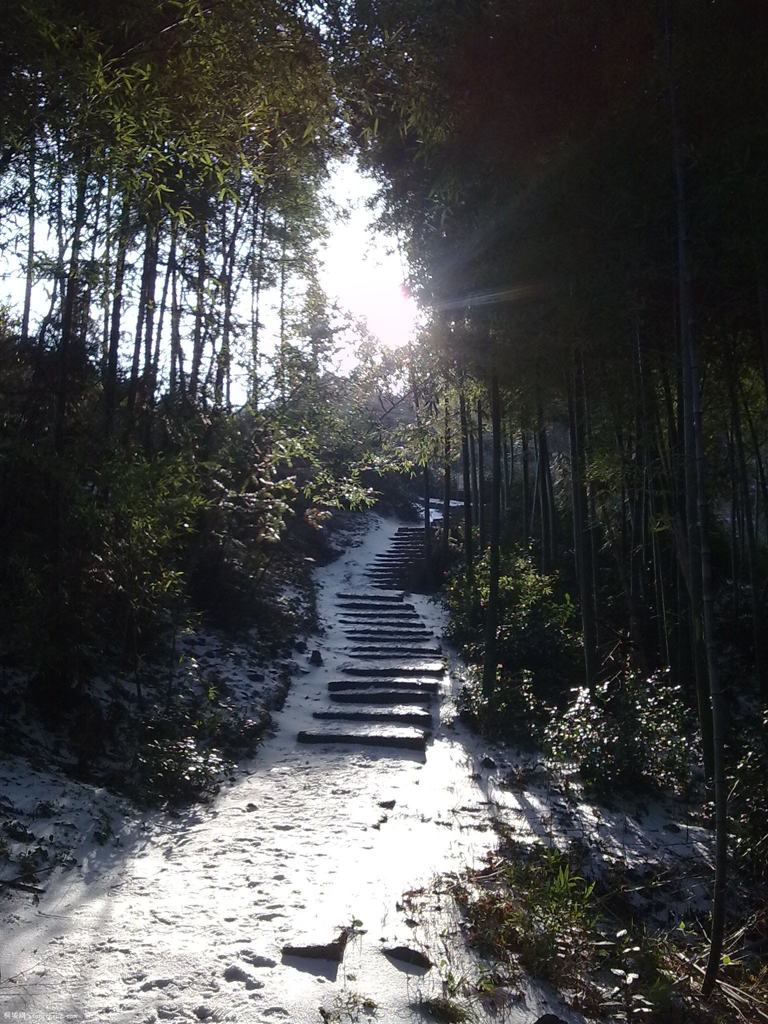 20100212474.jpg