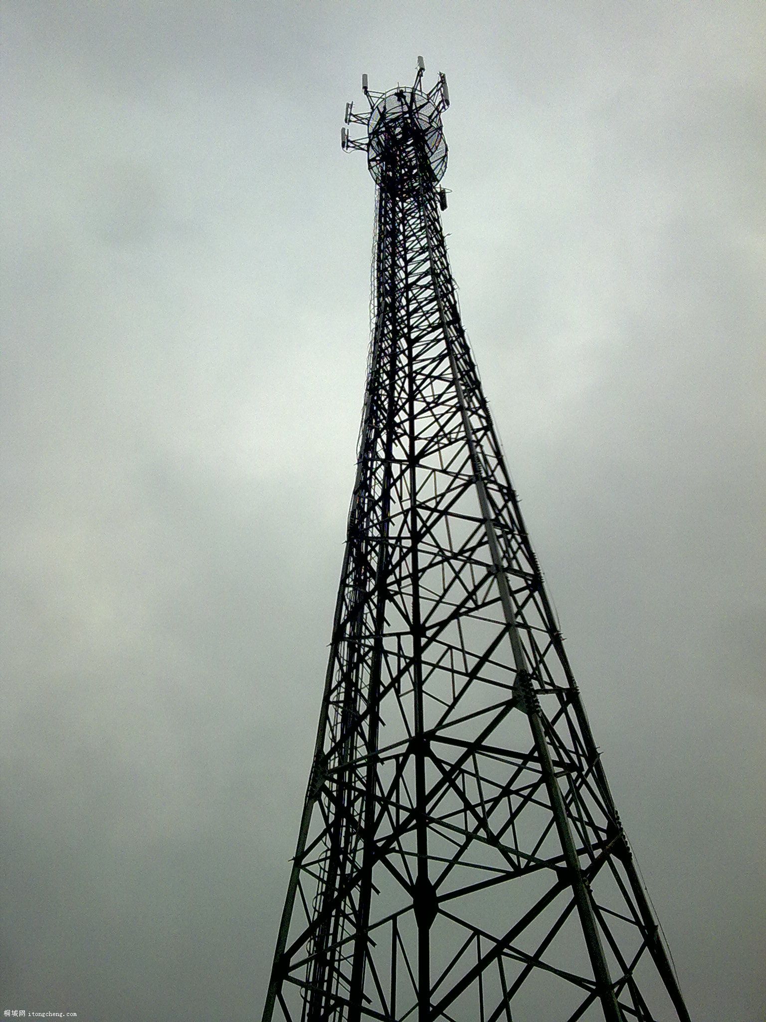 20100214486.jpg