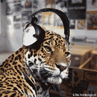 02.gif