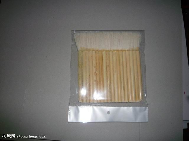 P1000592.jpg