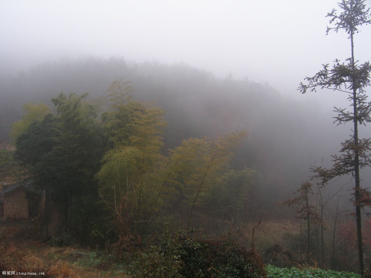 P2076985.JPG