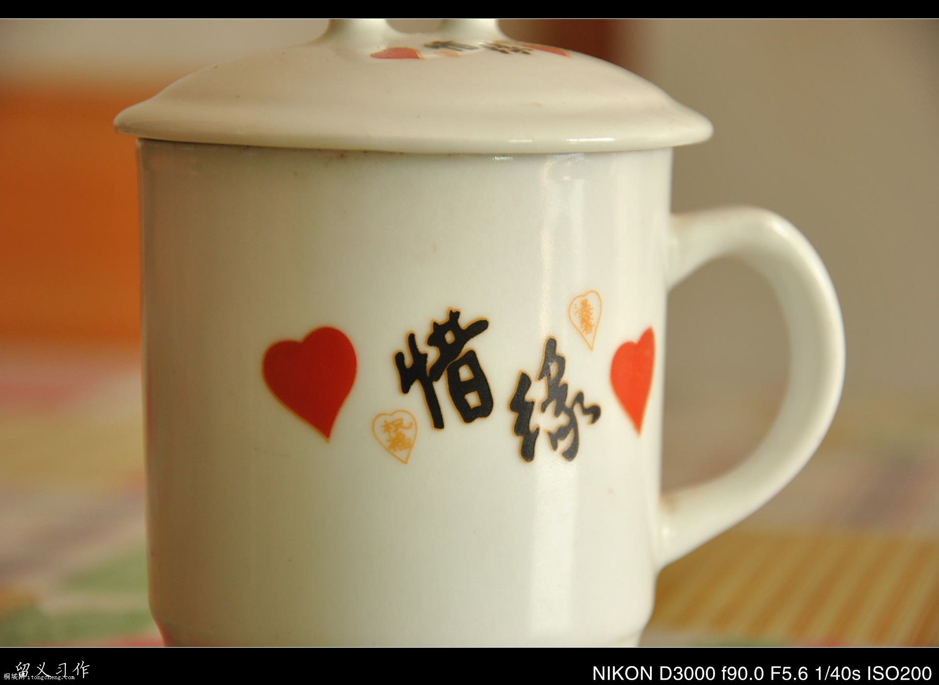  017_conew1.jpg