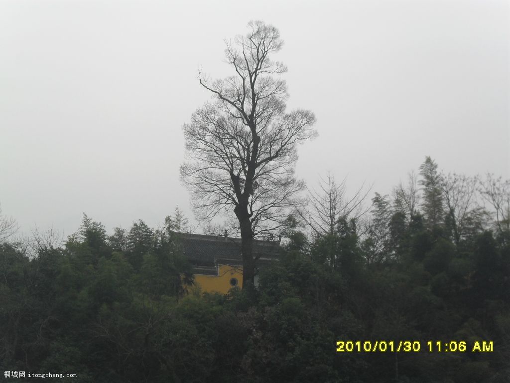 SDC10457.JPG