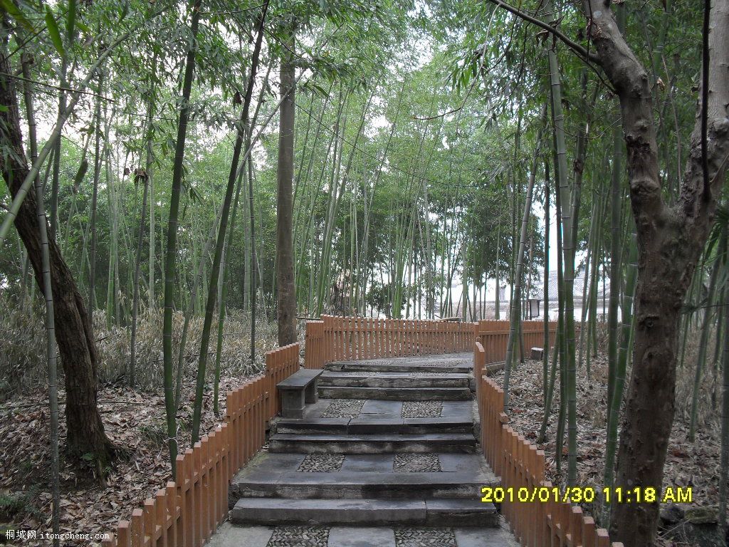 SDC10484.JPG