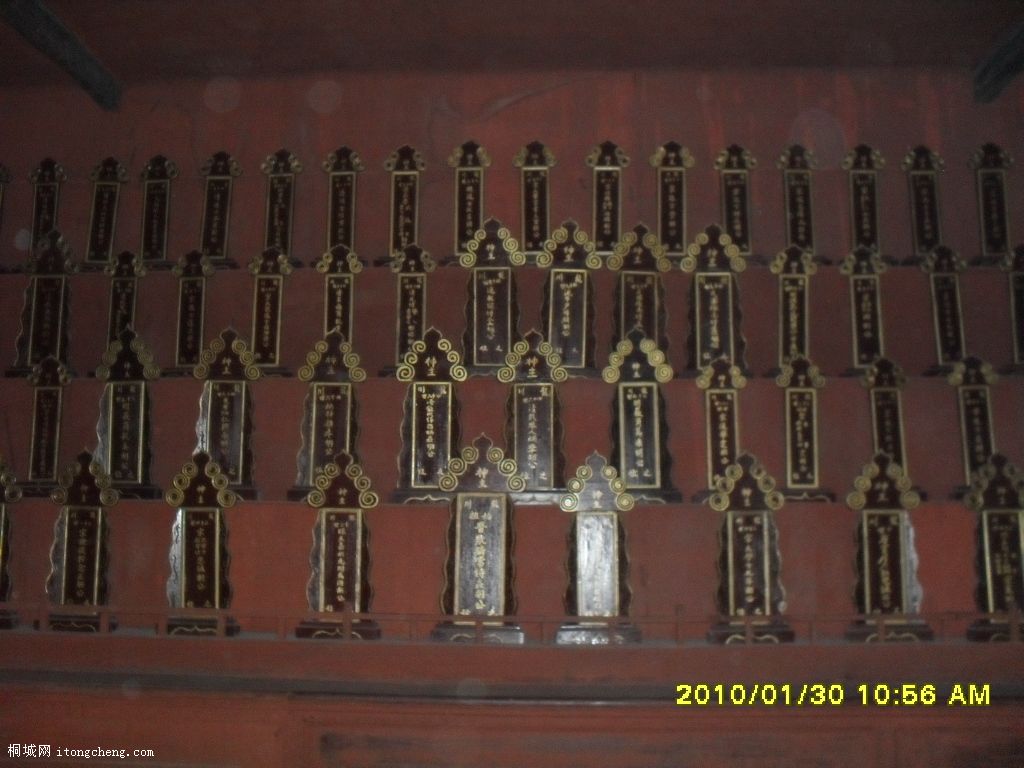 SDC10437.JPG