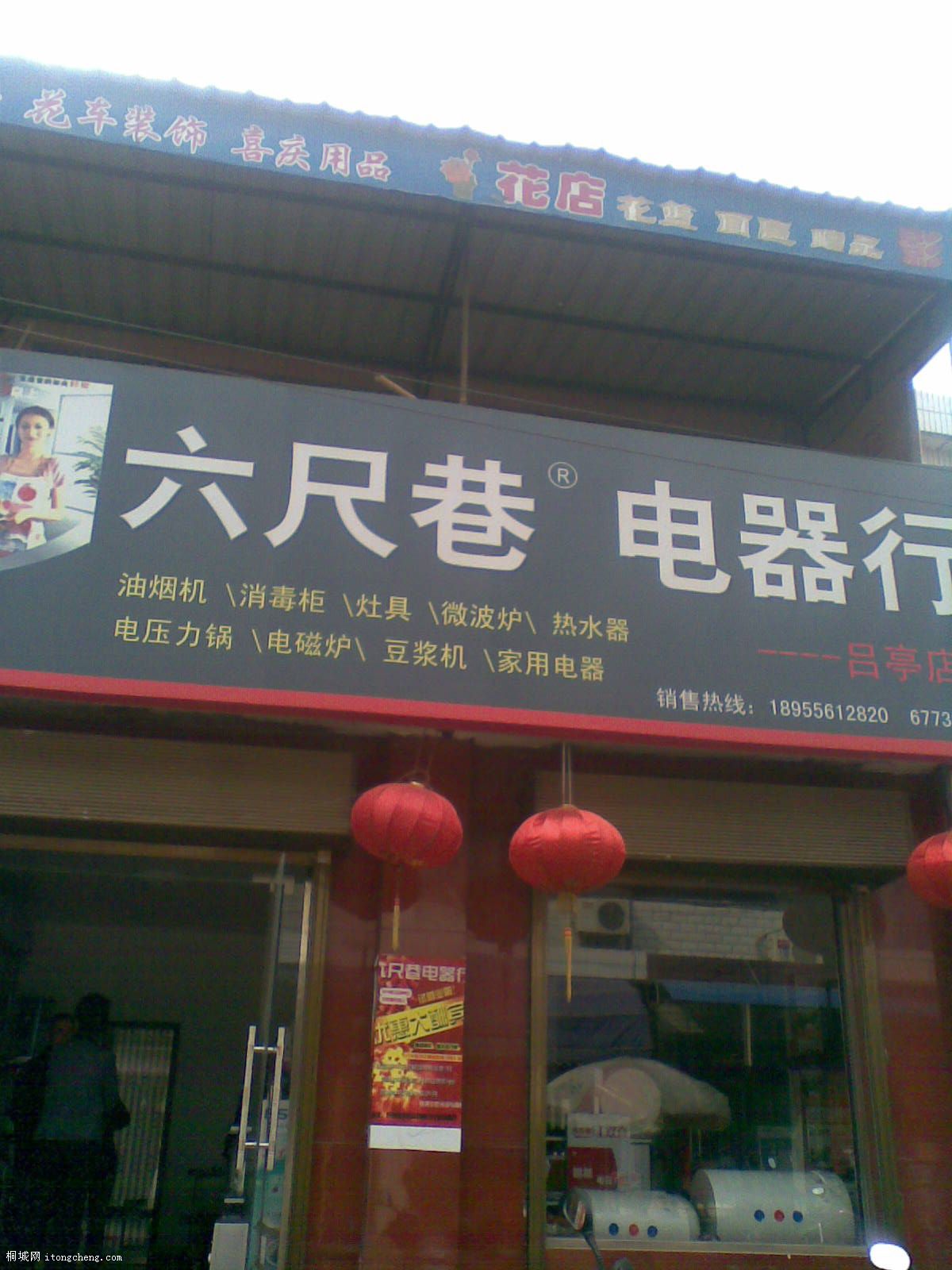 20100317(005).jpg