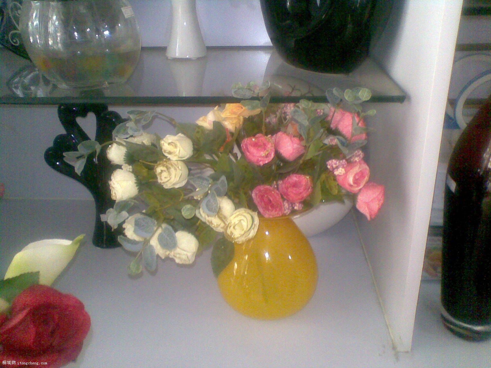 20100318(026).jpg
