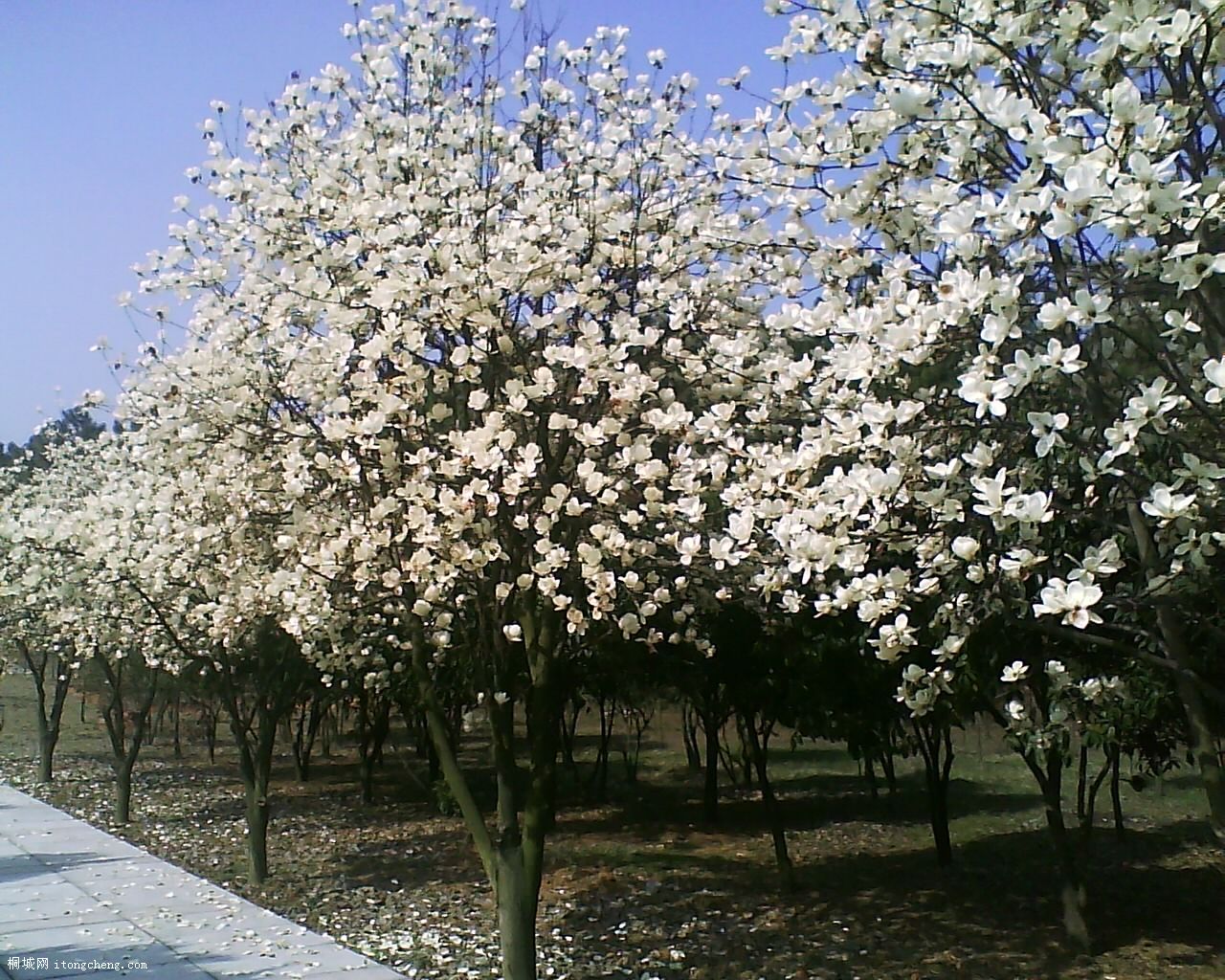 19-03-10_093530.jpg