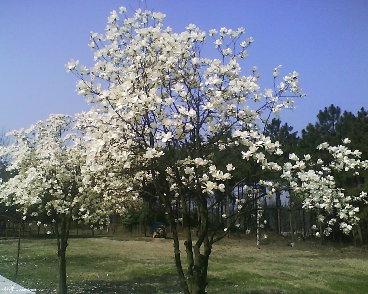 19-03-10_093242.jpg