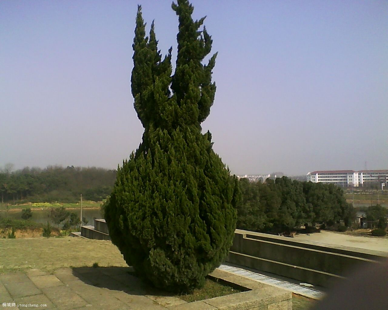 19-03-10_094748.jpg