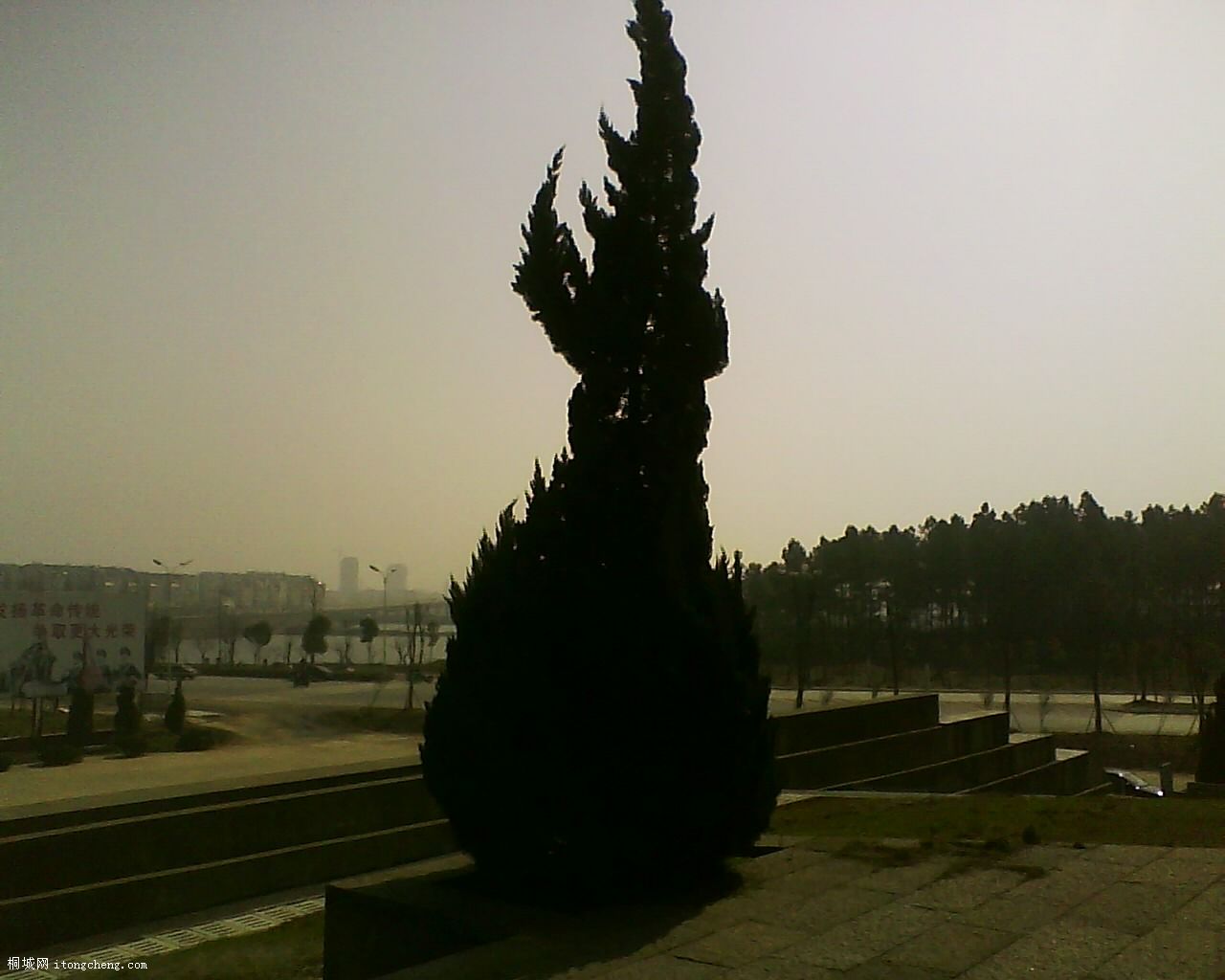 19-03-10_094803.jpg