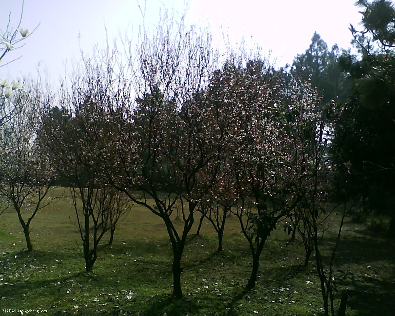 19-03-10_094223.jpg