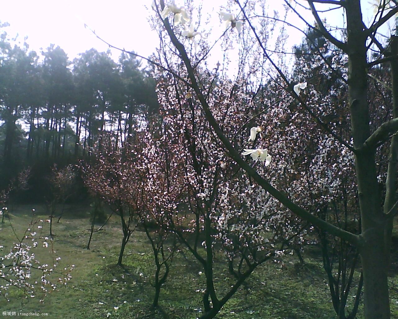 19-03-10_094249.jpg