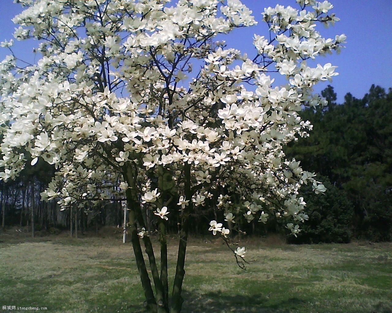 19-03-10_093406.jpg