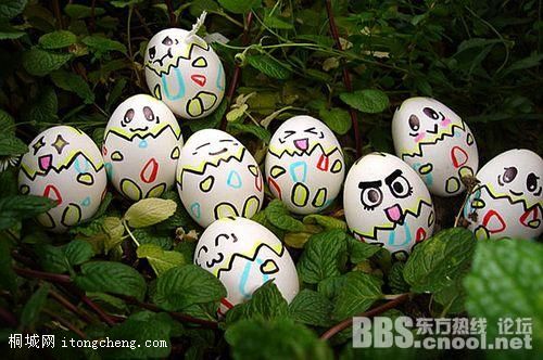 20100319110715933.jpg