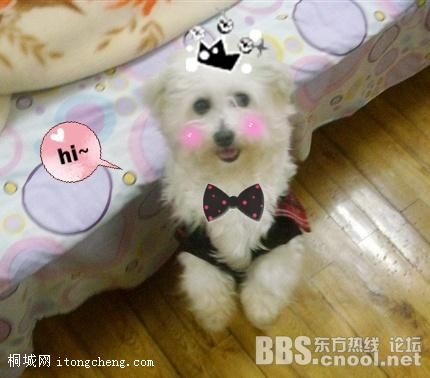 20100317110516875.jpg