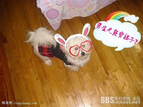 20100317110516578.jpg