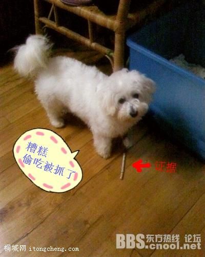20100317110517078.jpg