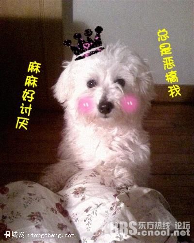 20100317110517390.jpg