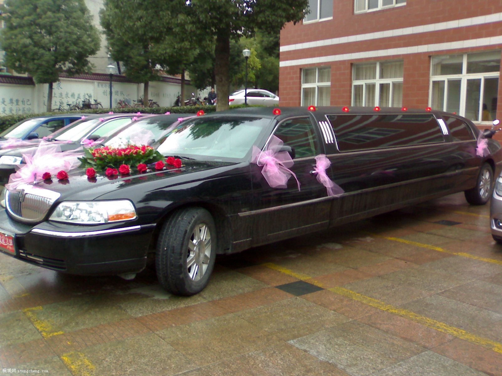 20100210199.jpg