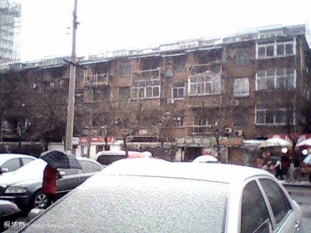 IMG0060A.jpg