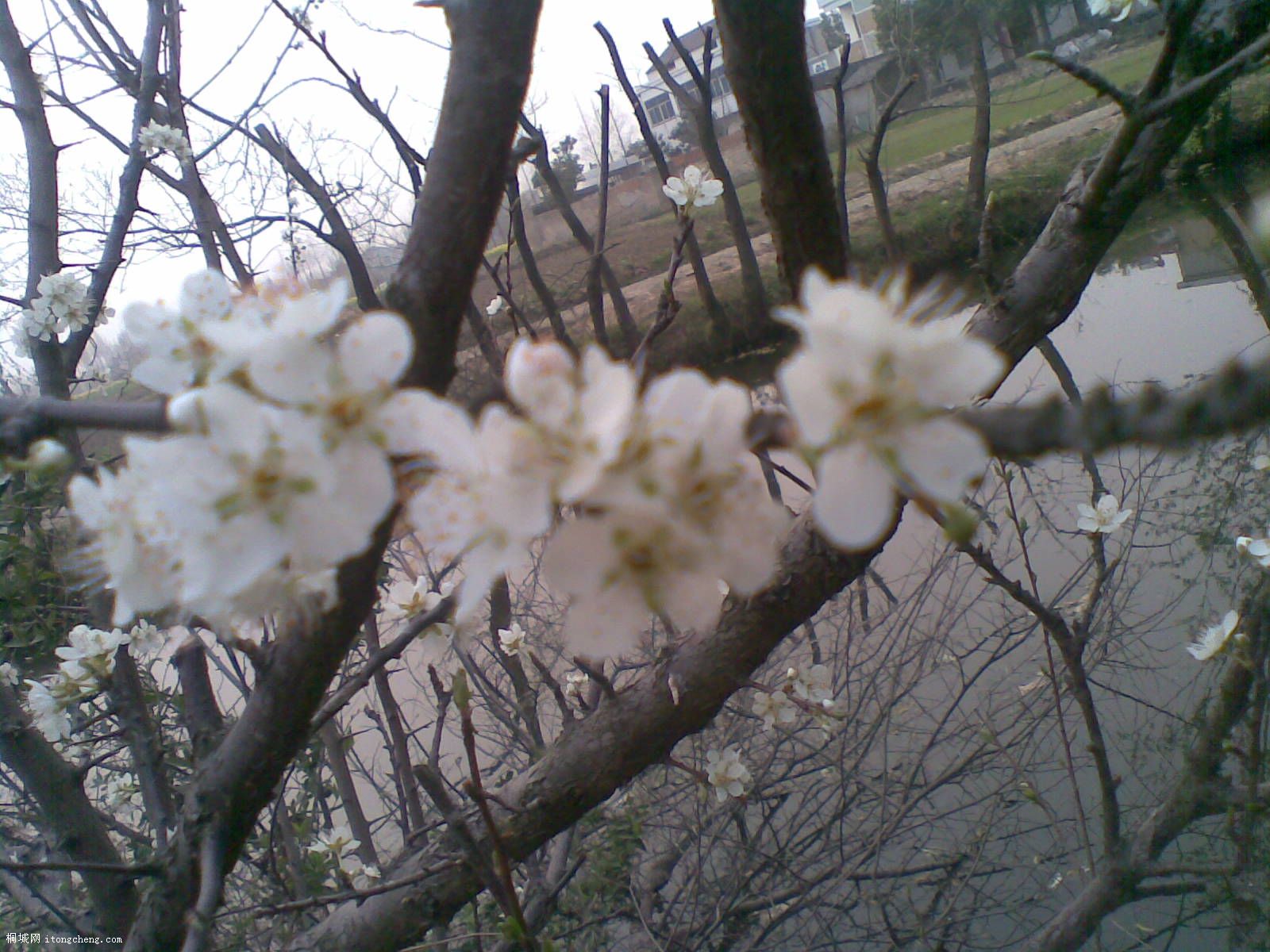 20100321(033).jpg