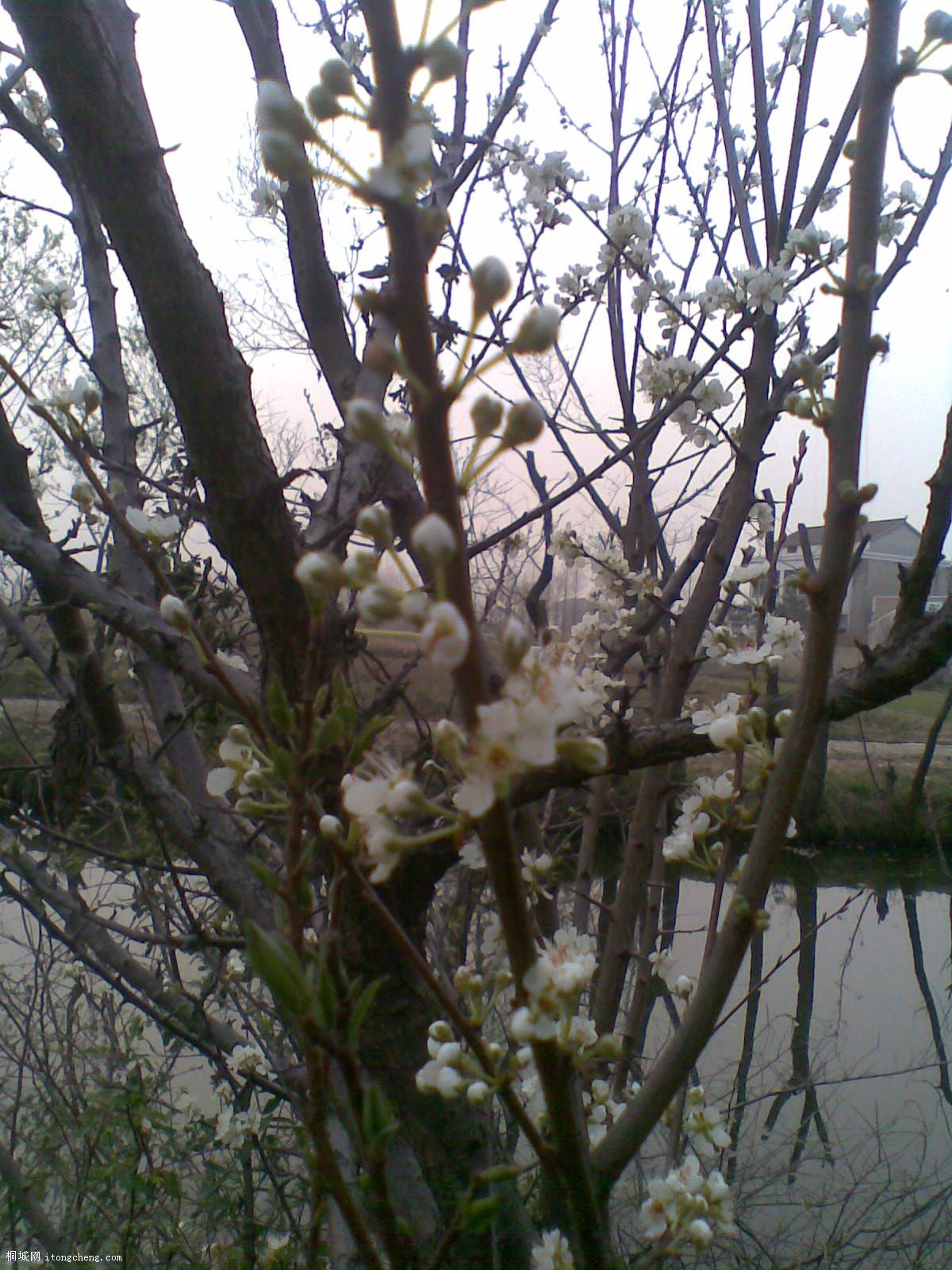 20100321(034).jpg