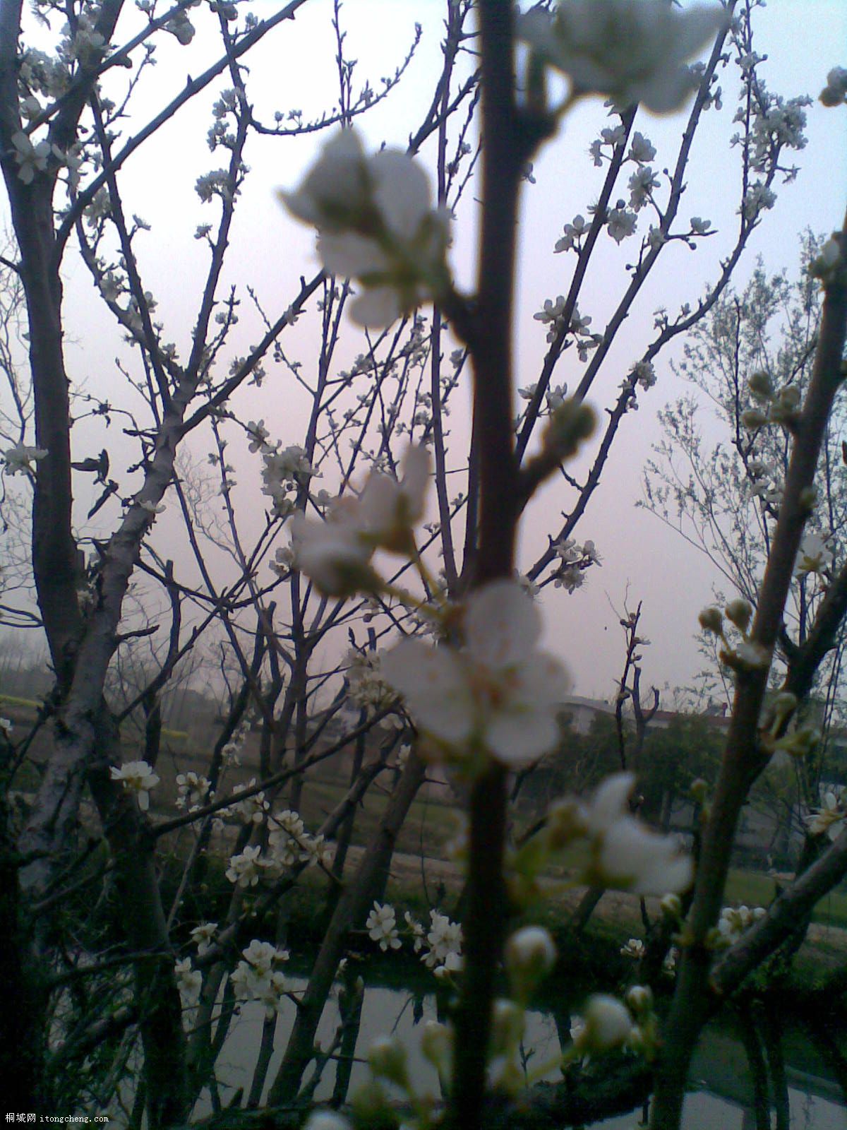 20100321(032).jpg