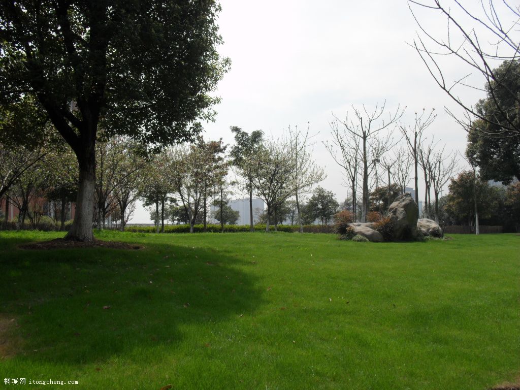 SAM_0551.JPG