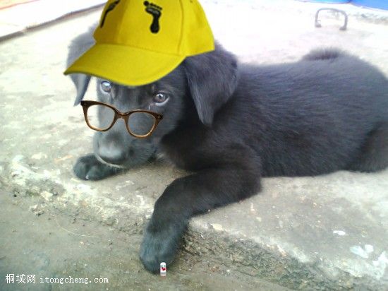 ����Сʱ��