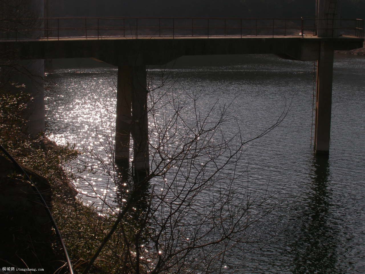 P2209511.JPG
