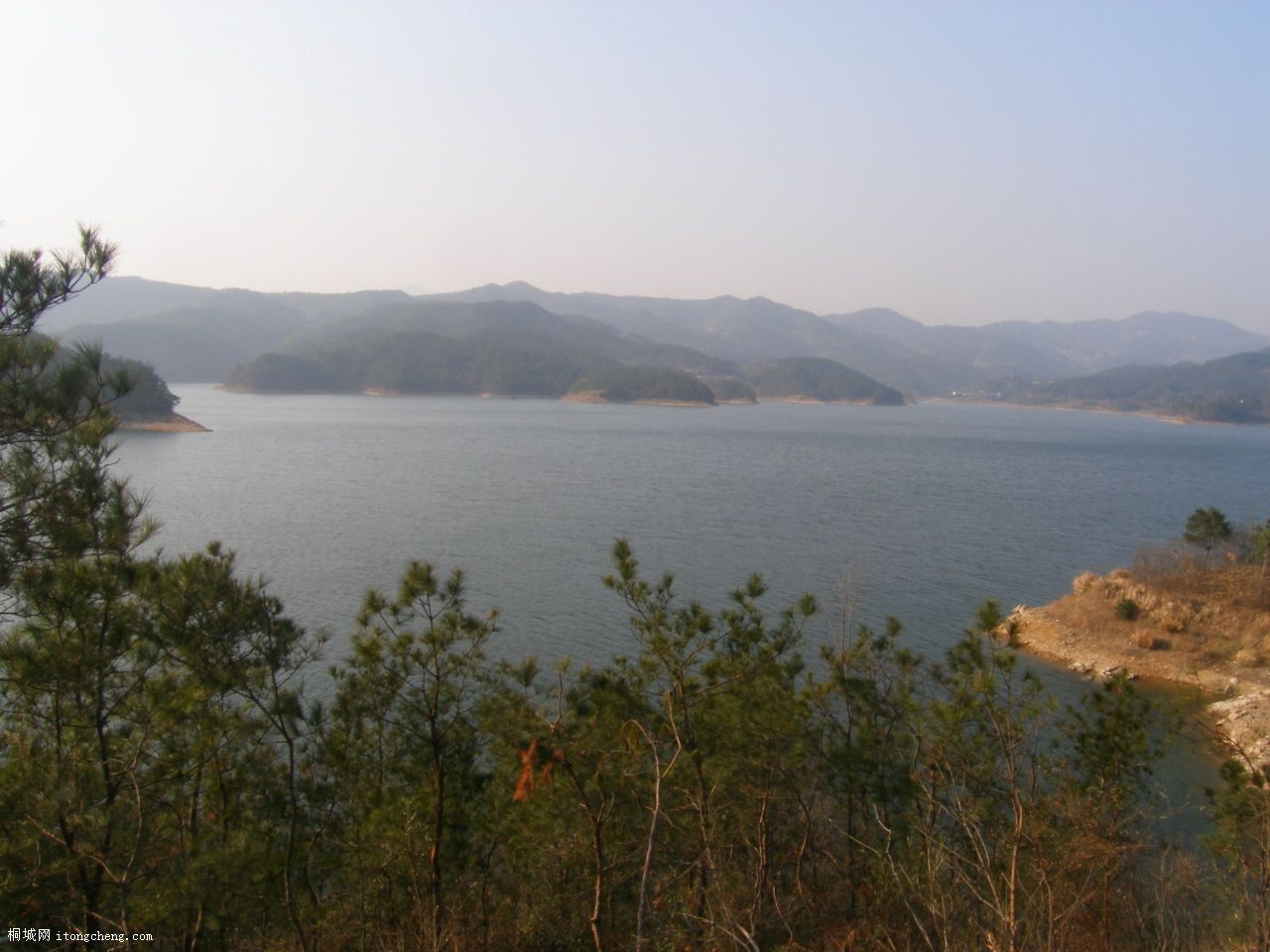 P2209549.JPG