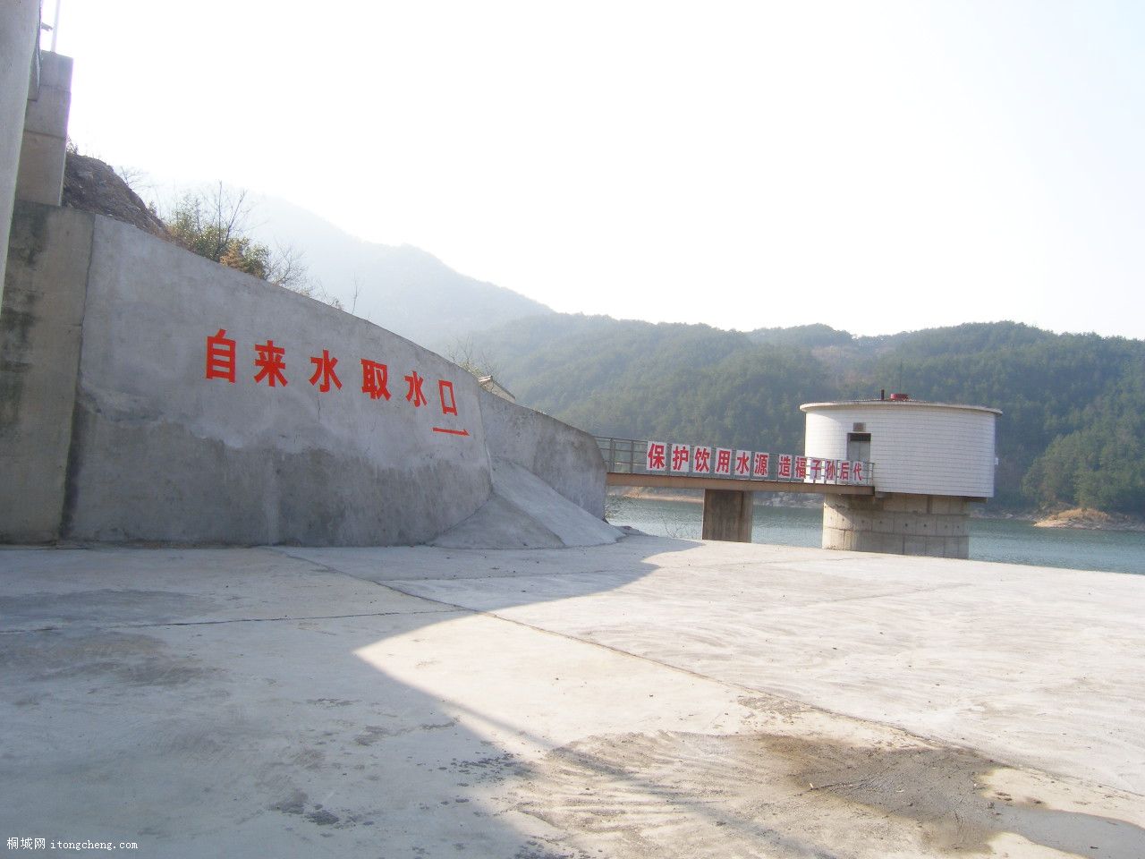 P2209504.JPG