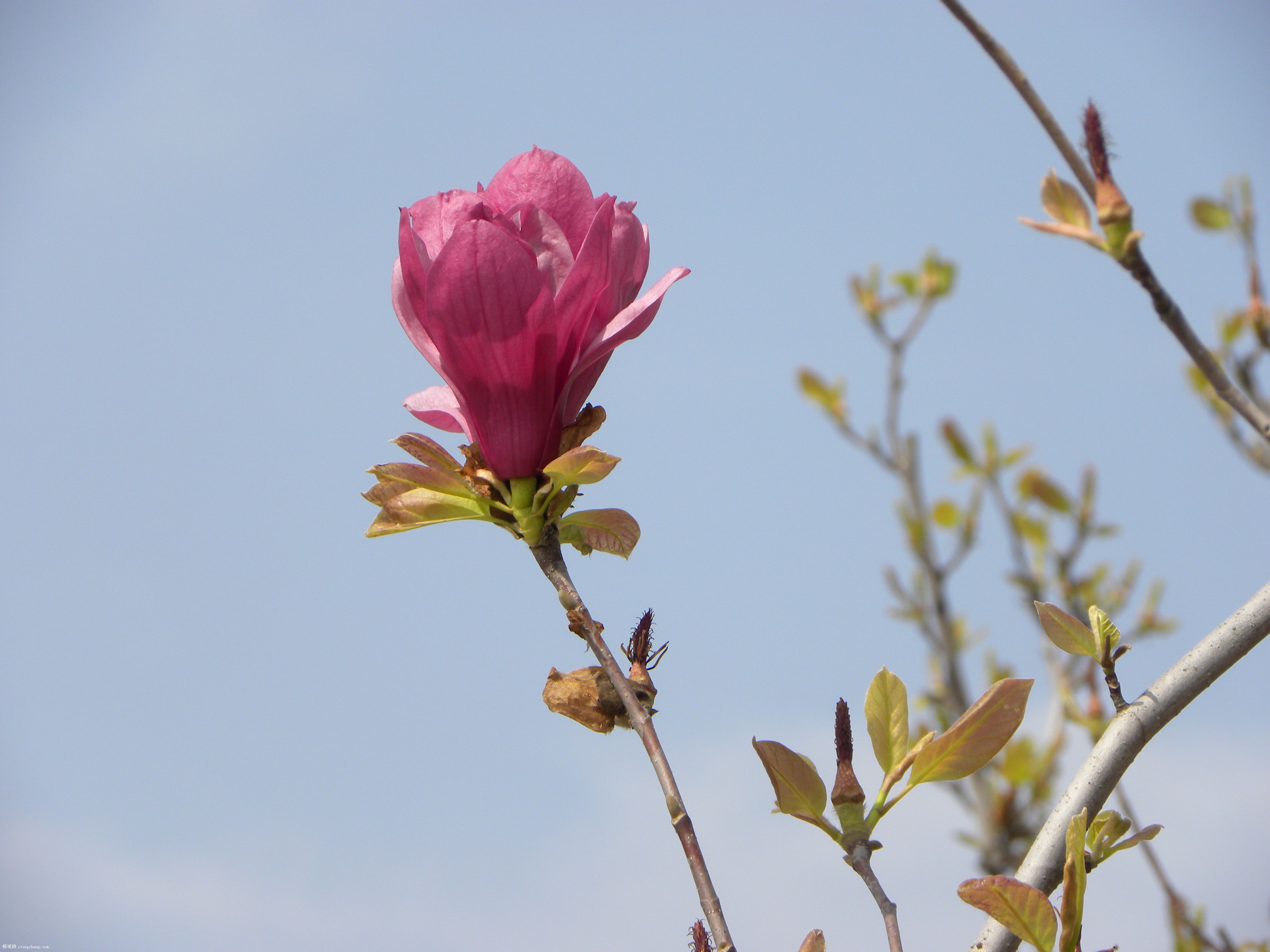 DSCN0339.JPG