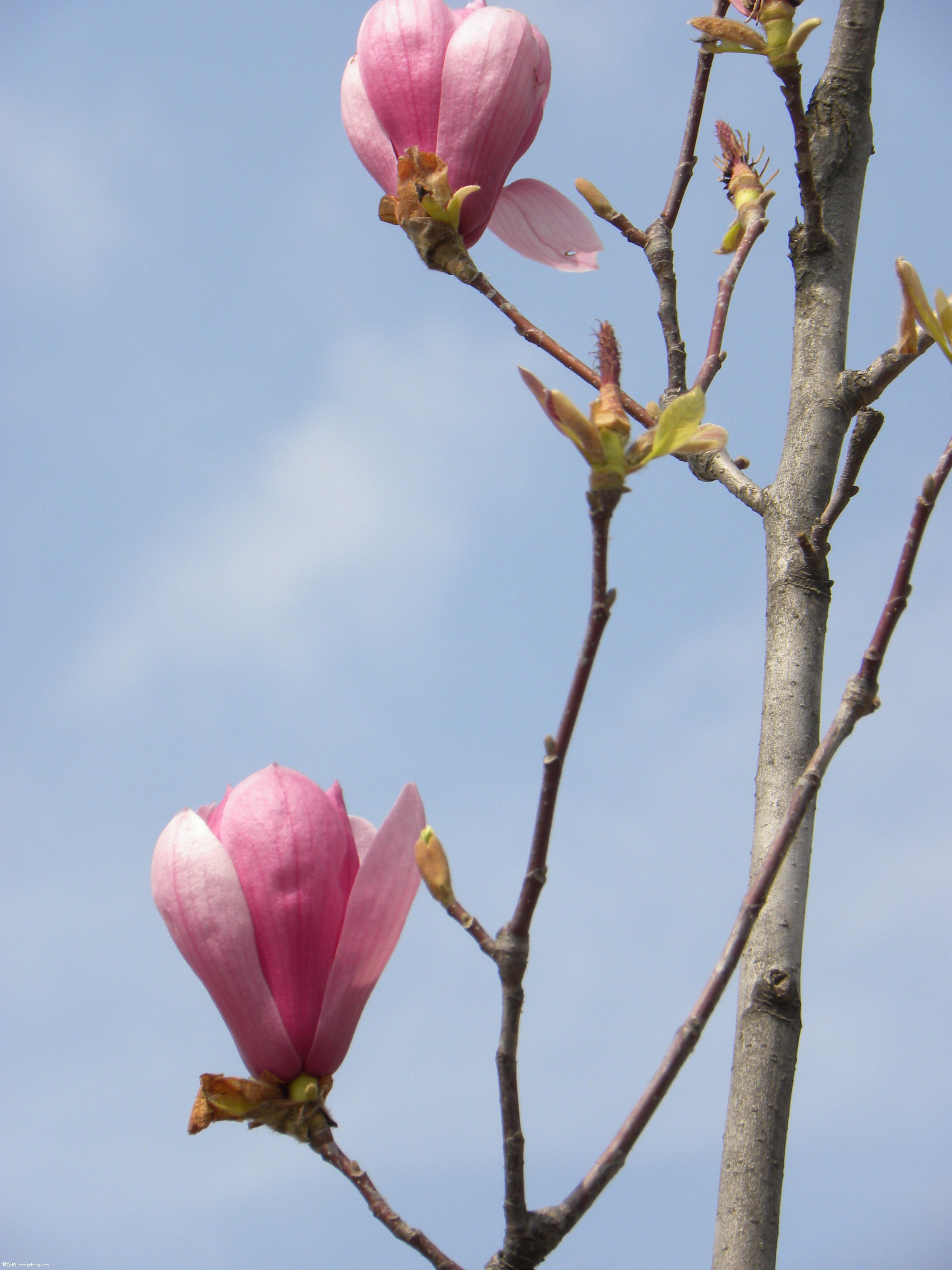 DSCN0341.JPG