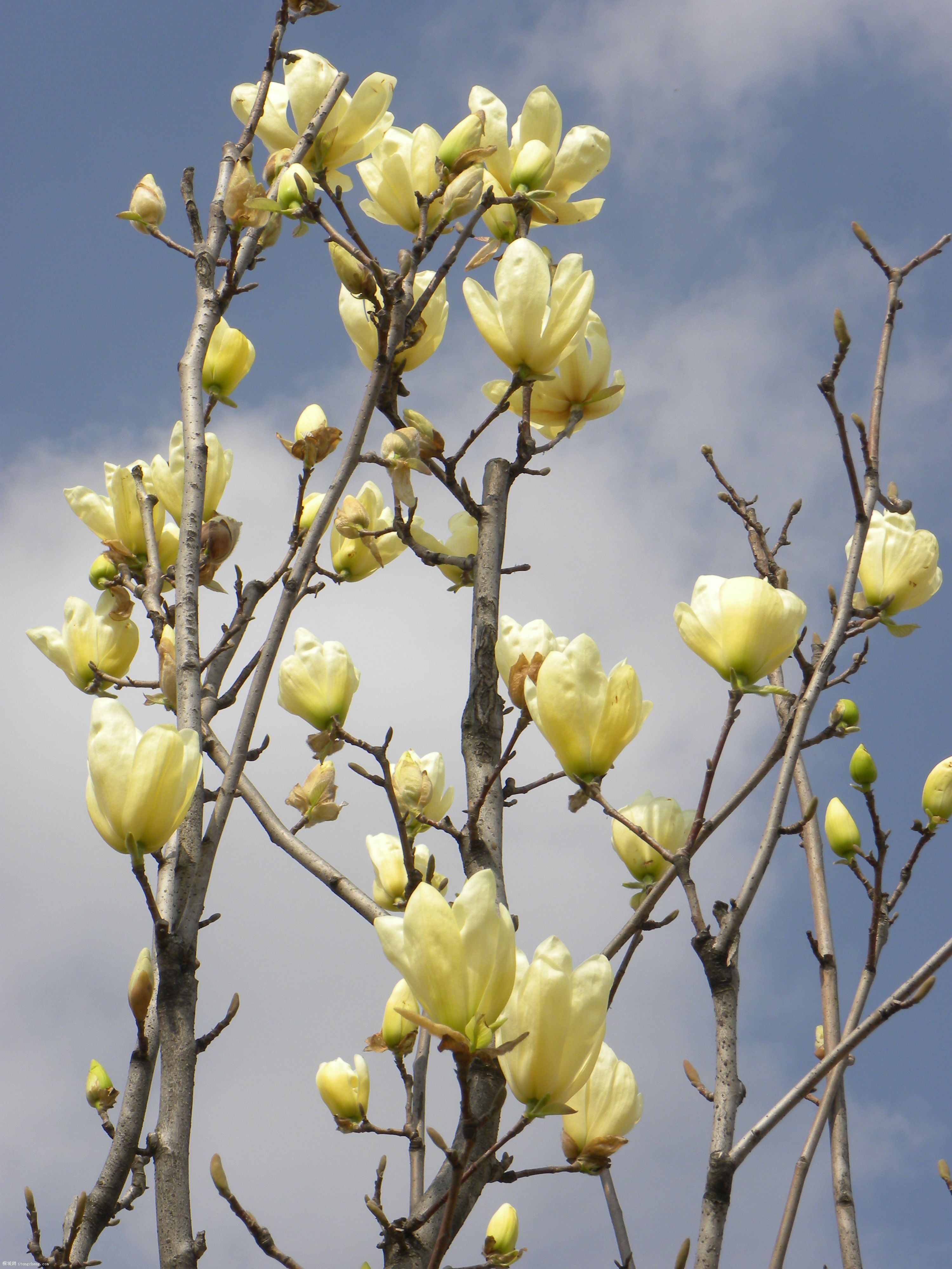 DSCN0345.JPG