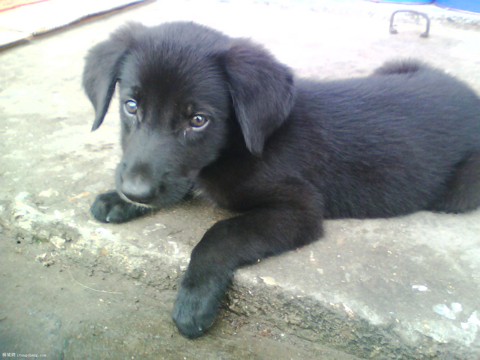 IMG0408A.jpg