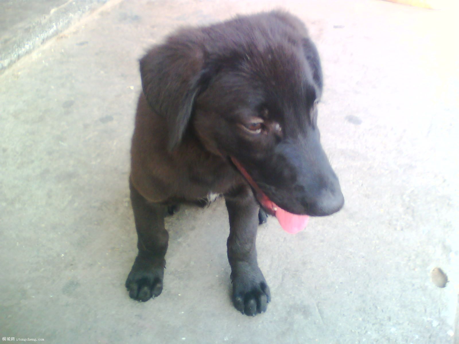 IMG0458A.jpg