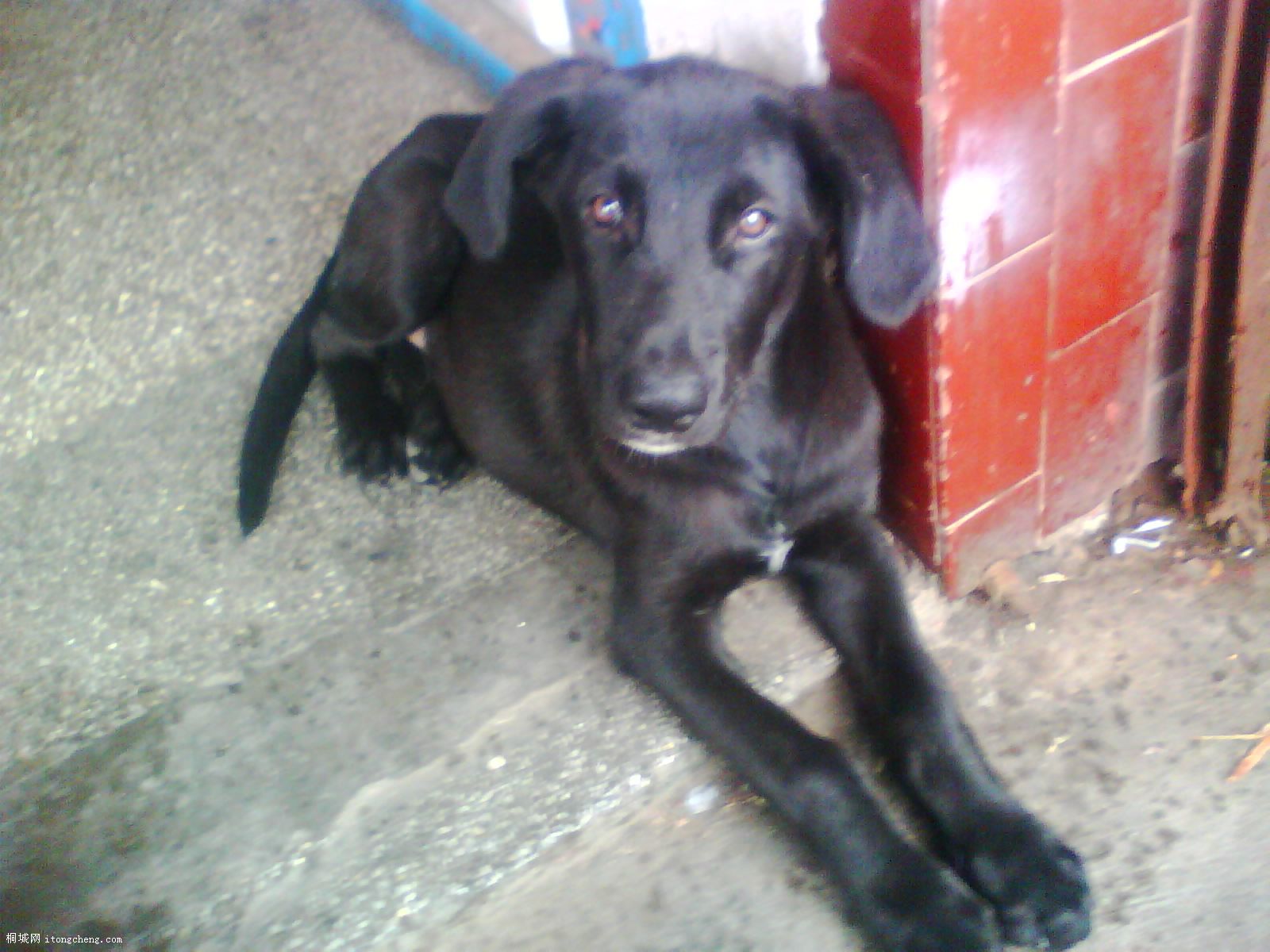 IMG0484A.jpg