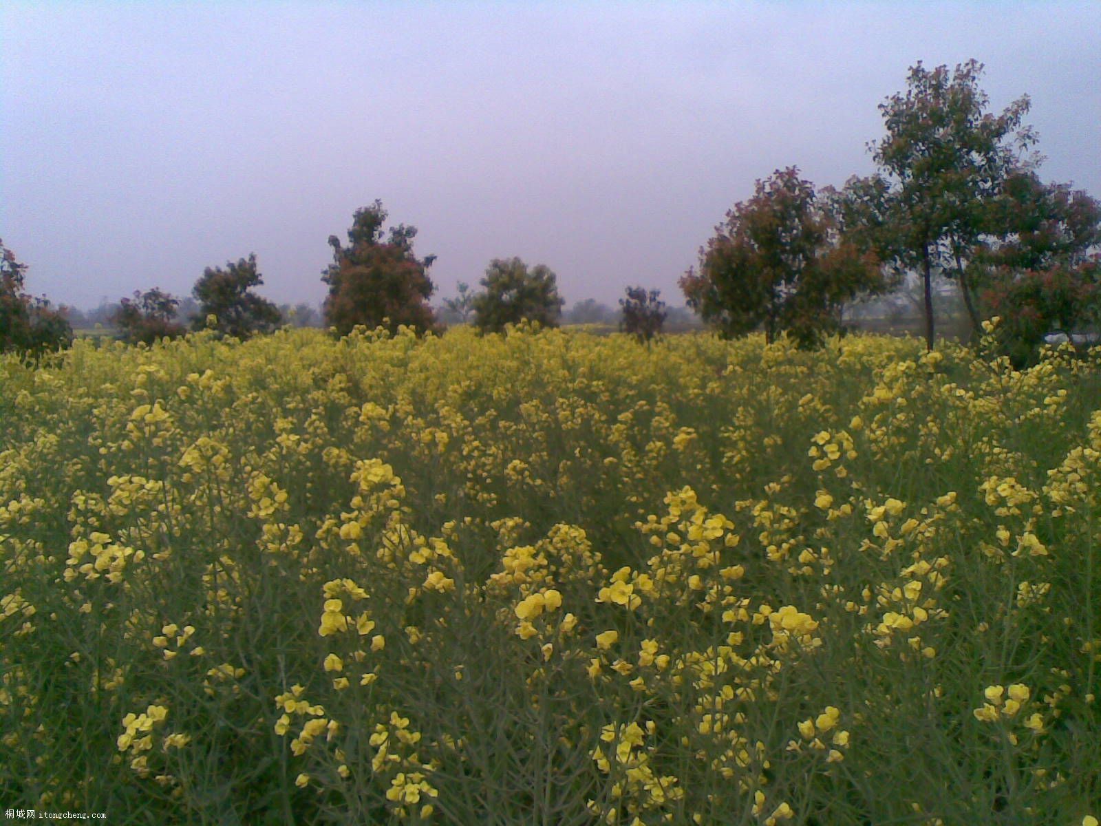 20100410(002).jpg