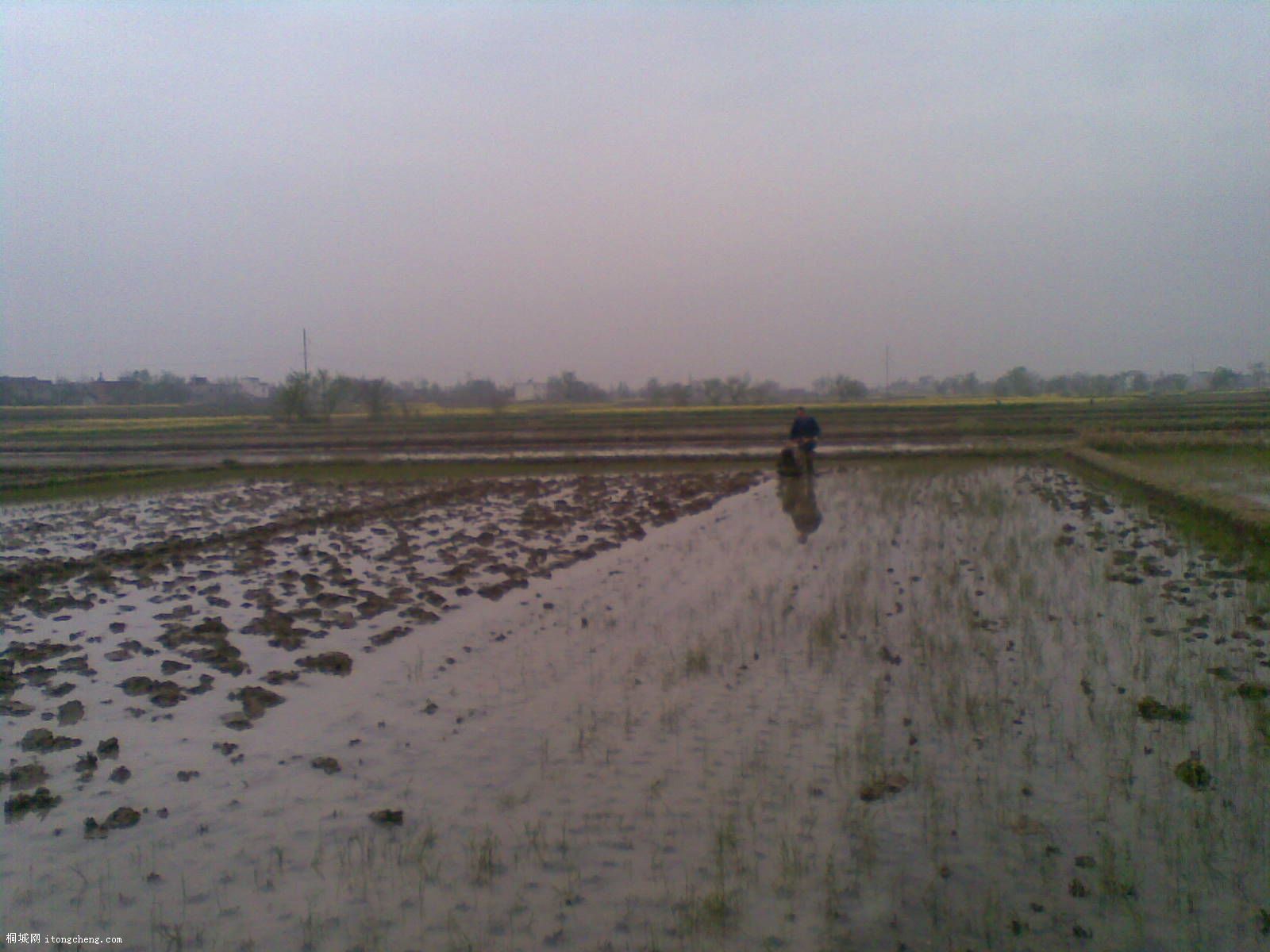 20100410(004).jpg