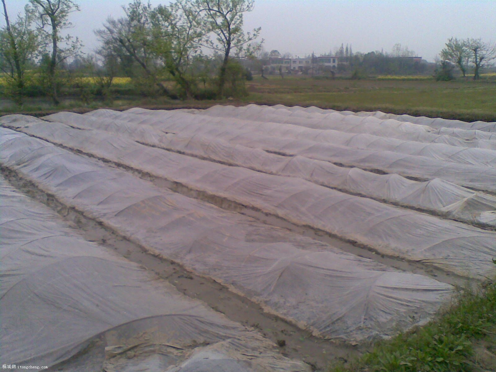 20100410(001).jpg